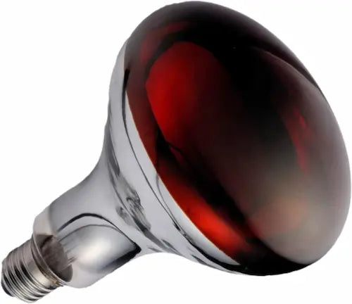Red heat lamp bulb on a white background