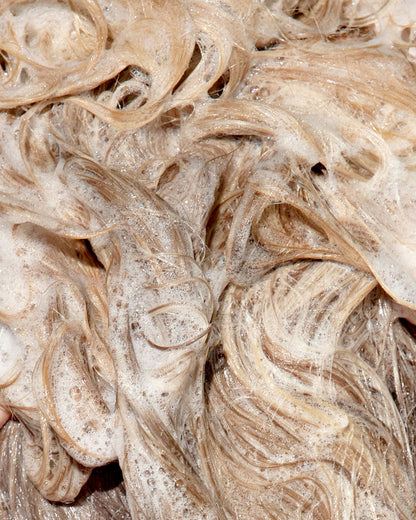 applied  shampoo on hair texture 
